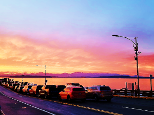 Randy & Chastity Medlock